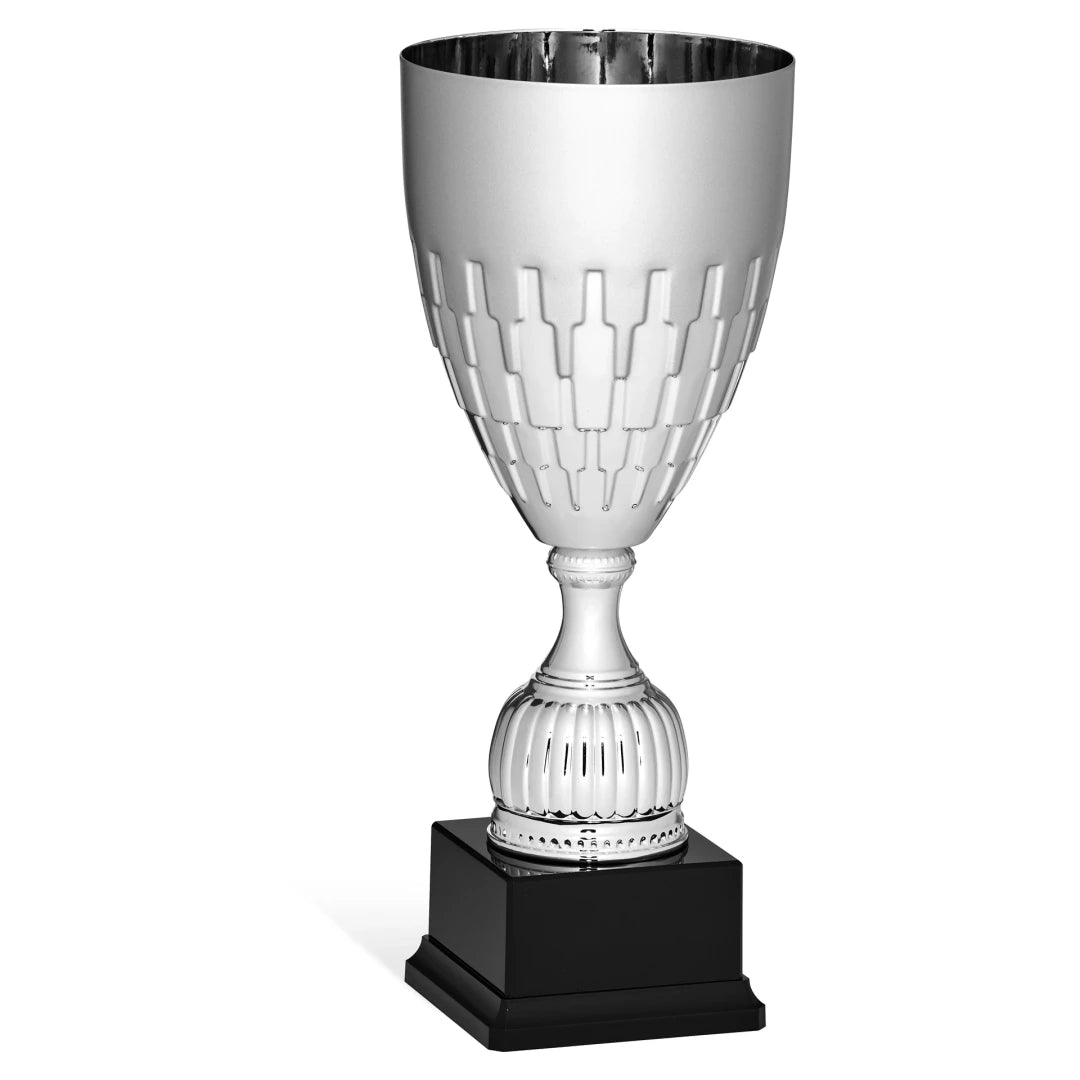 CBRIDGE:96137B:96137B_01