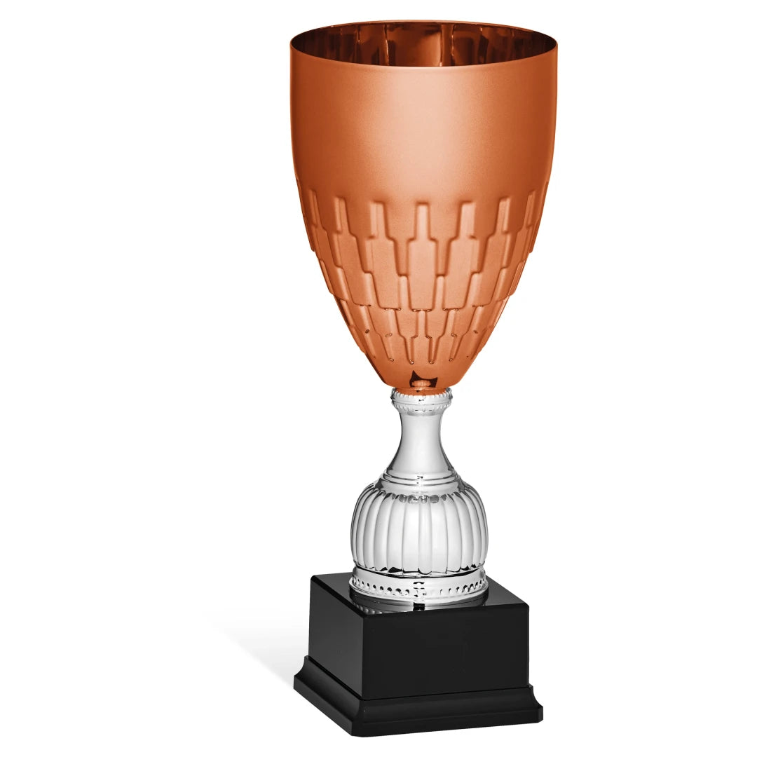 CBRIDGE:96137C:96137C_01