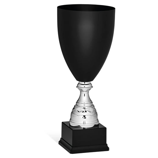 CBRIDGE:96138A:96138A_01