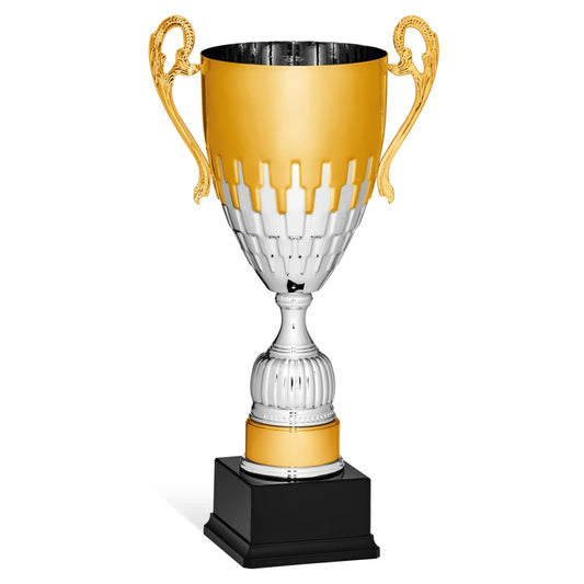 CBRIDGE:96139A:96139A_01