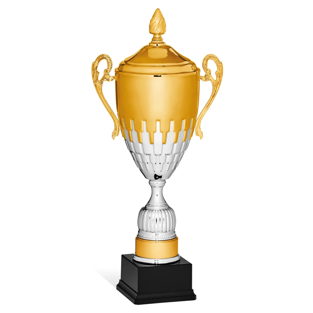 CBRIDGE:96139XA-COP:96139XA-COP_01