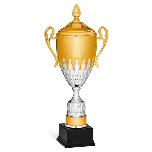 CBRIDGE:96139XA-COP:96139XA-COP_01