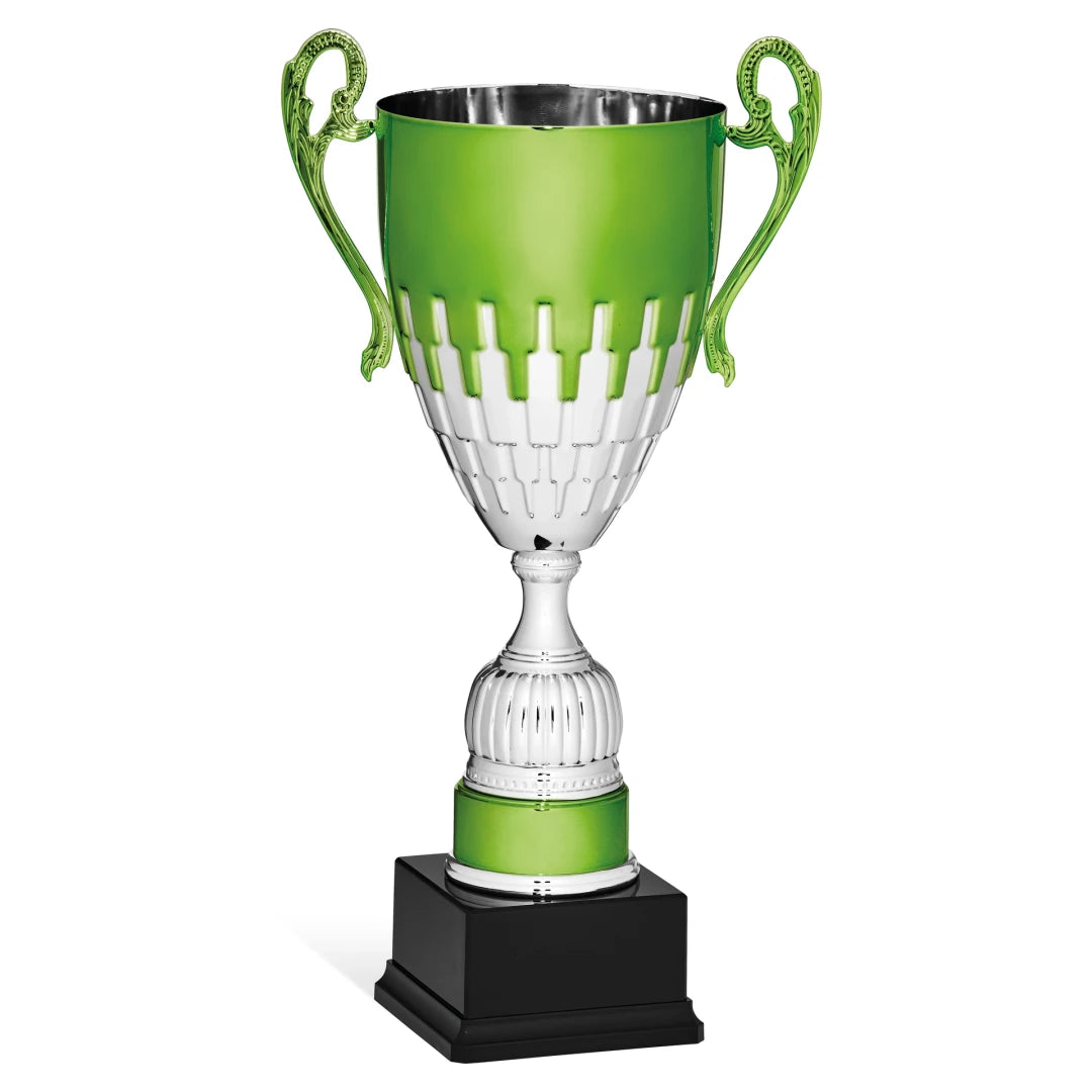 CBRIDGE:96141A:96141A_01