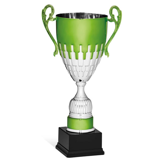 CBRIDGE:96141A:96141A_01