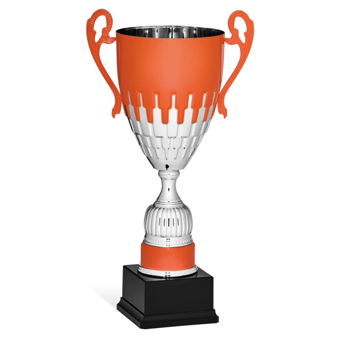 CBRIDGE:96142A:96142A_01