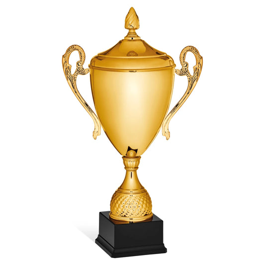 CBRIDGE:96143XA-COP:96143XA-COP_01