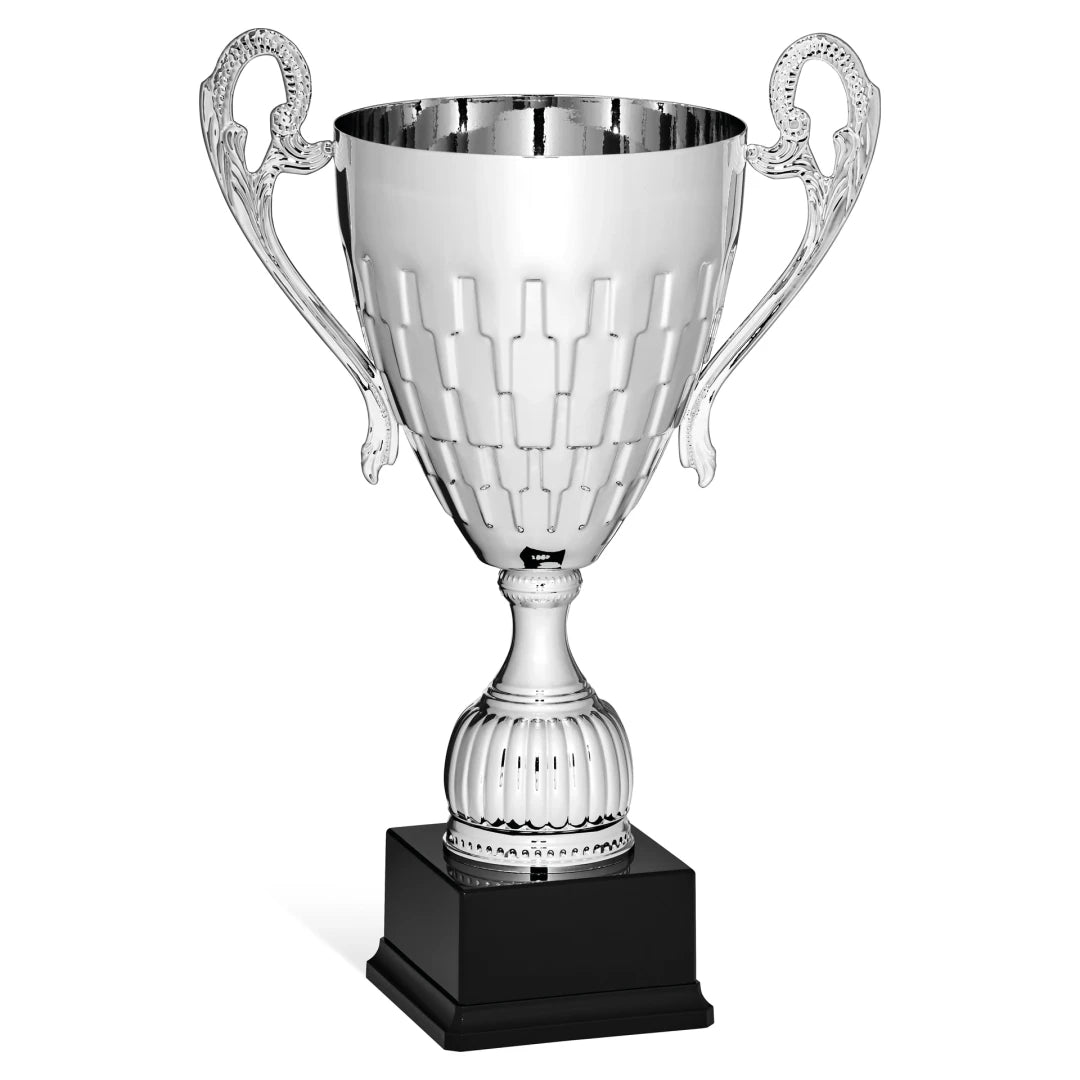 CBRIDGE:96146A:96146A_01