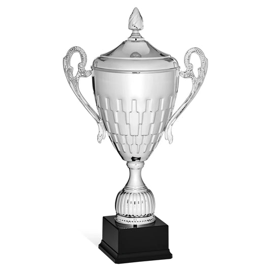 CBRIDGE:96146XA-COP:96146XA-COP_01