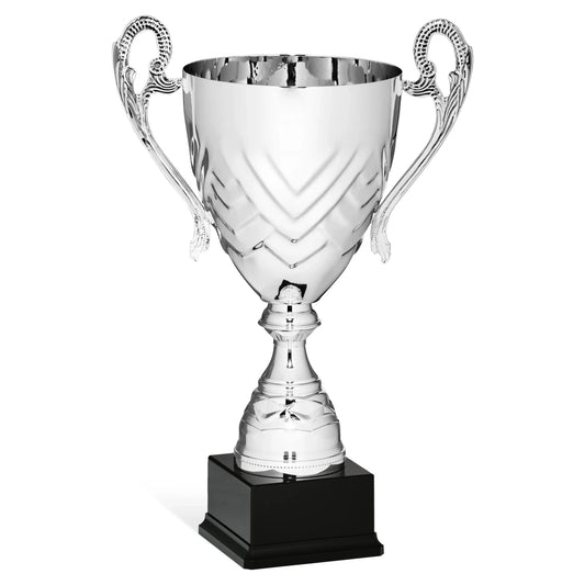 CBRIDGE:96148A:96148A_01