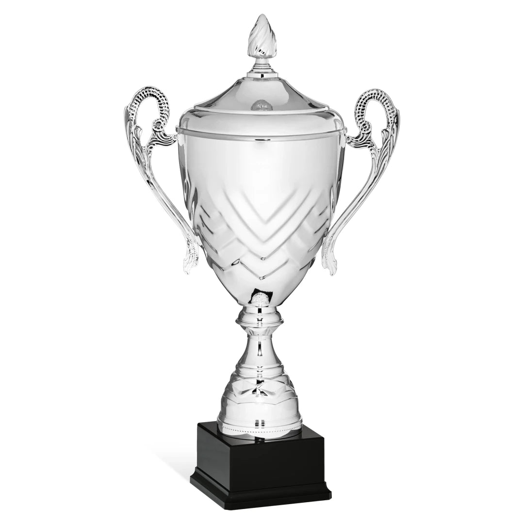 CBRIDGE:96148XA-COP:96148XA-COP_01