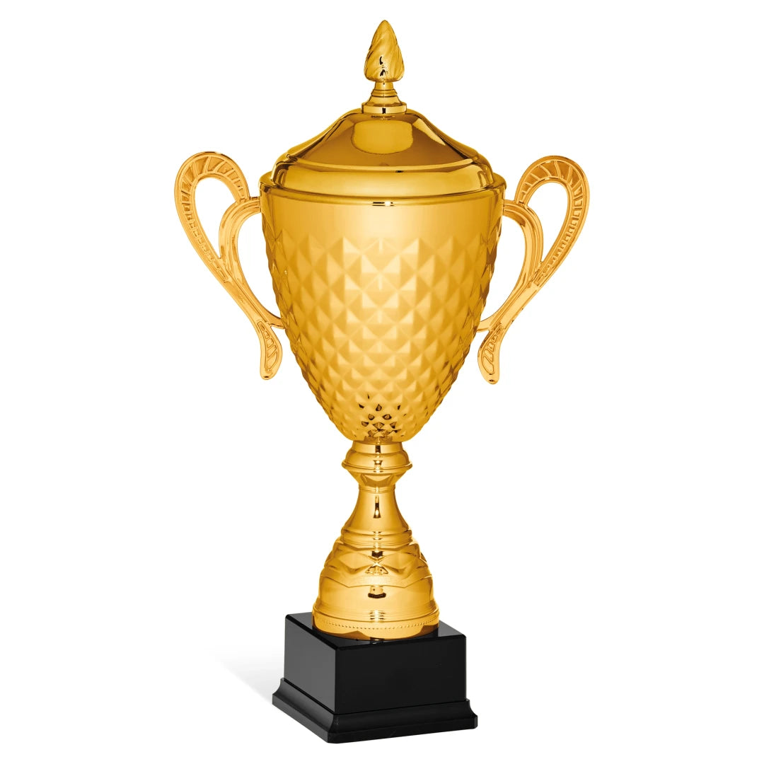 CBRIDGE:96149XA-COP:96149XA-COP_01