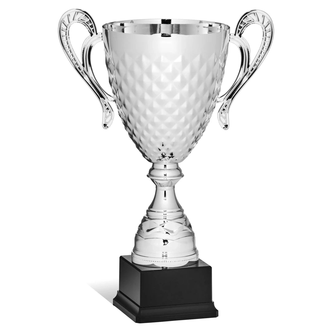 CBRIDGE:96150A:96150A_01