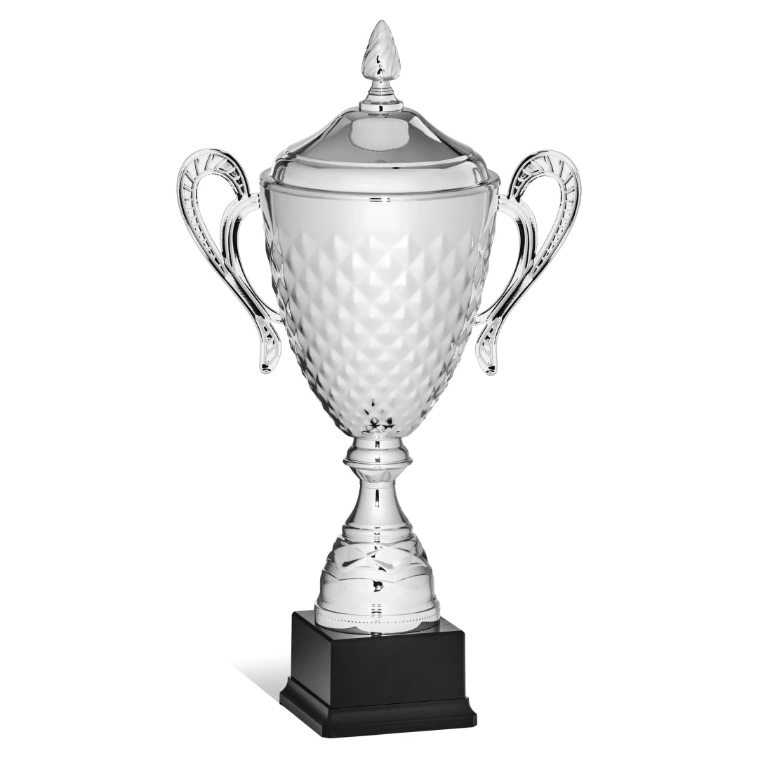 CBRIDGE:96150XA-COP:96150XA-COP_01