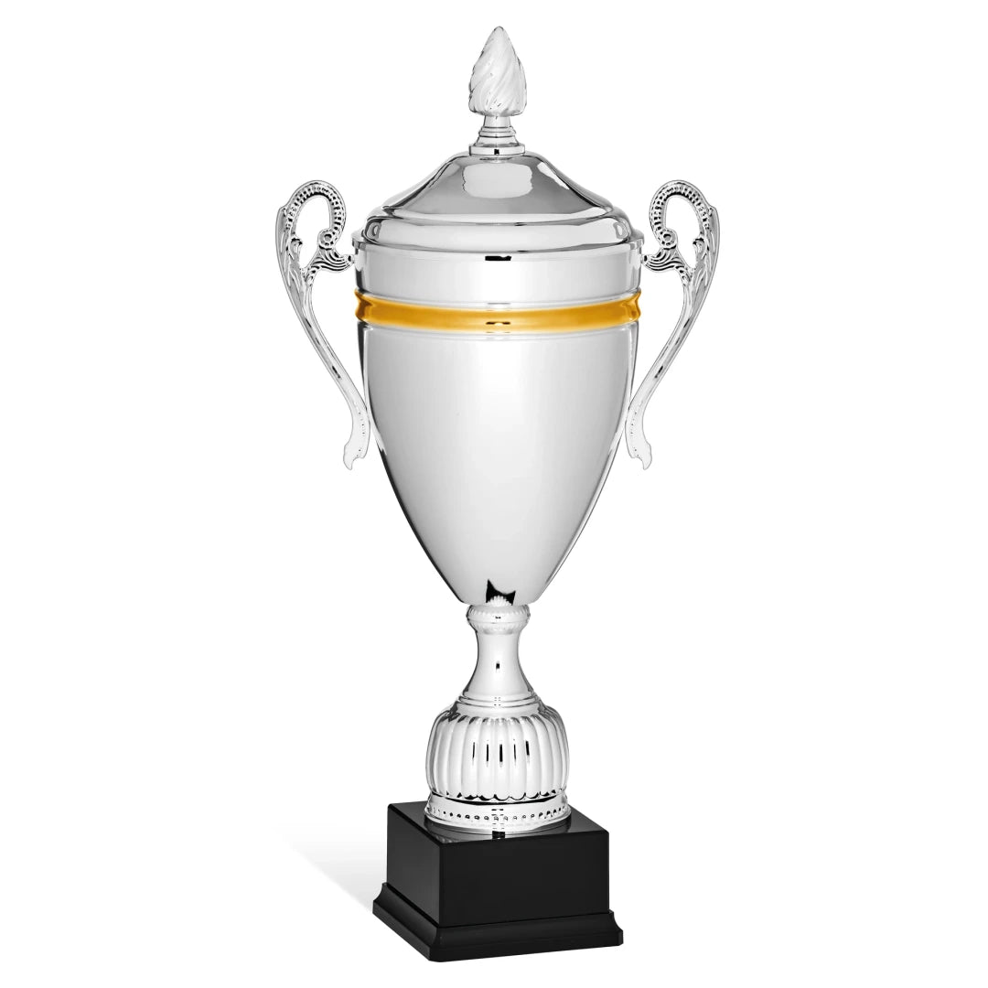 CBRIDGE:96151XA-COP:96151XA-COP_01