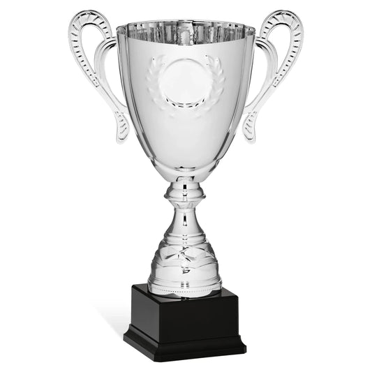 CBRIDGE:96152A:96152A_01