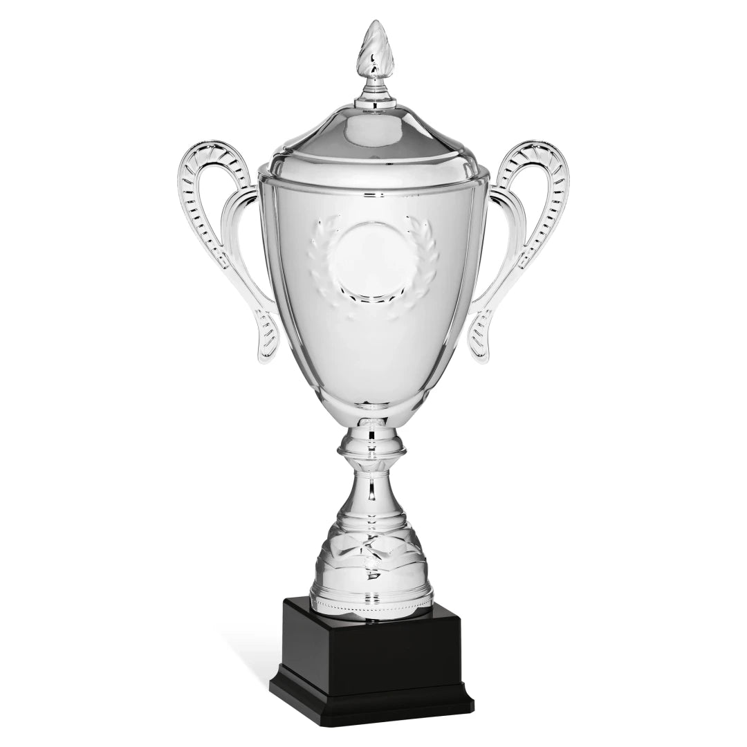 CBRIDGE:96152XA-COP:96152XA-COP_01