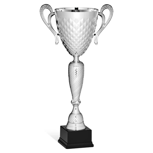 CBRIDGE:96154A:96154A_01