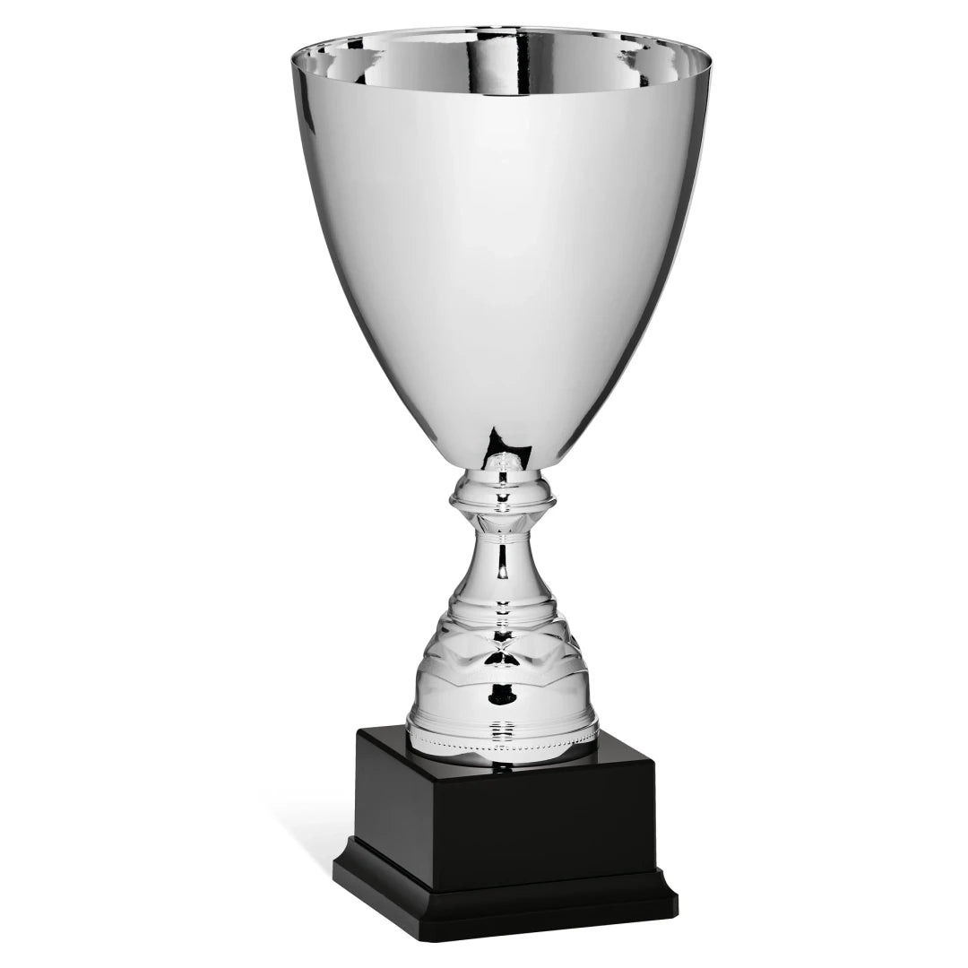 CBRIDGE:96160A:96160A_01