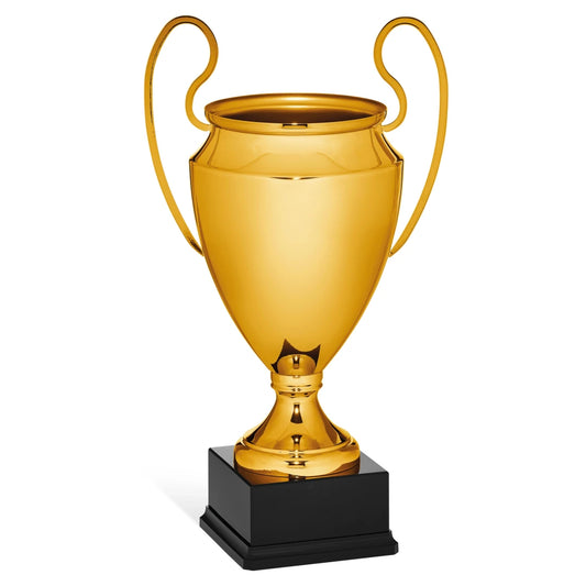 CBRIDGE:96163A:96163A_01