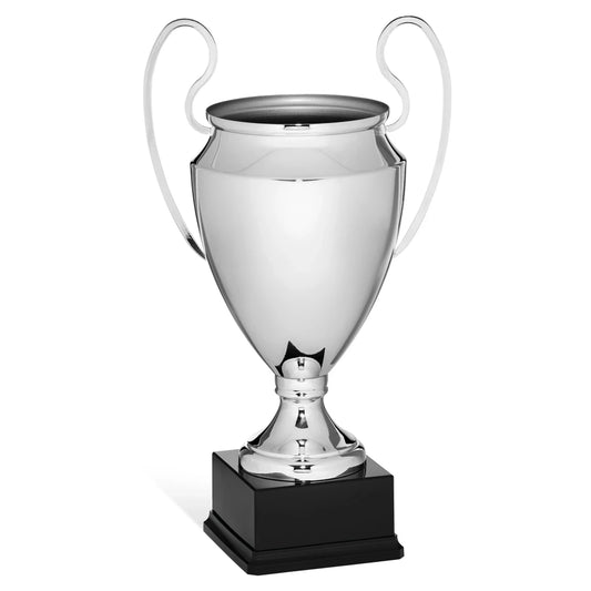 CBRIDGE:96164A:96164A_01