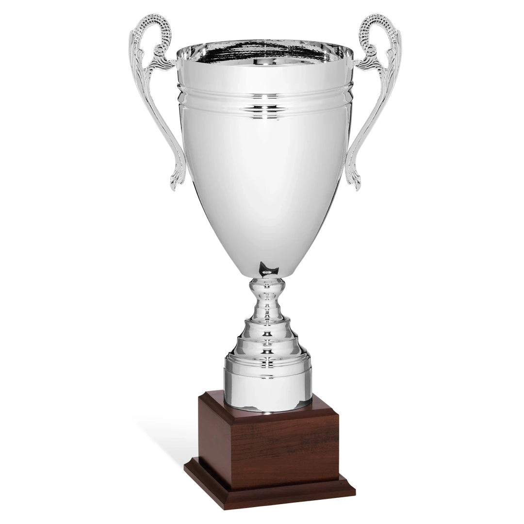 CBRIDGE:96167A:96167A_01