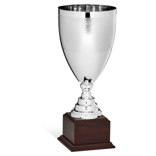 CBRIDGE:96168A:96168A_01