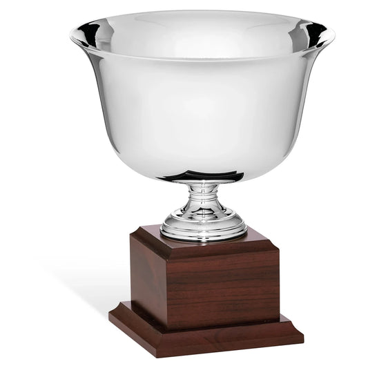 CBRIDGE:96169A:96169A_01