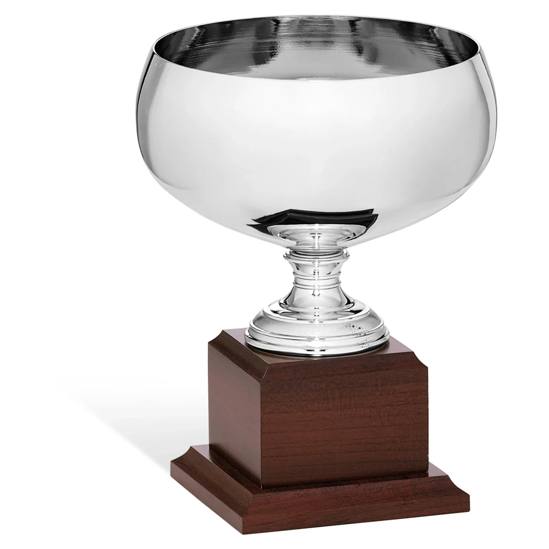 CBRIDGE:96170A:96170A_01