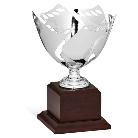 CBRIDGE:96171A:96171A_01