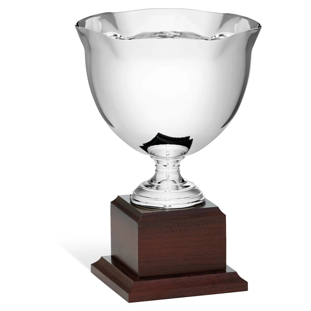 CBRIDGE:96172A:96172A_01