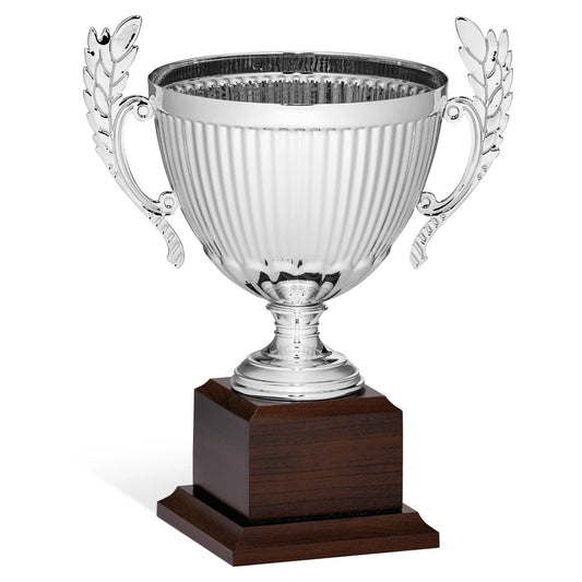 CBRIDGE:96173A:96173A_01