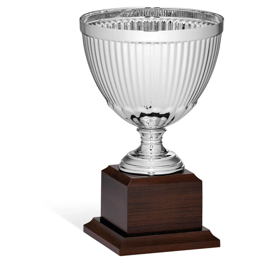 CBRIDGE:96174A:96174A_01