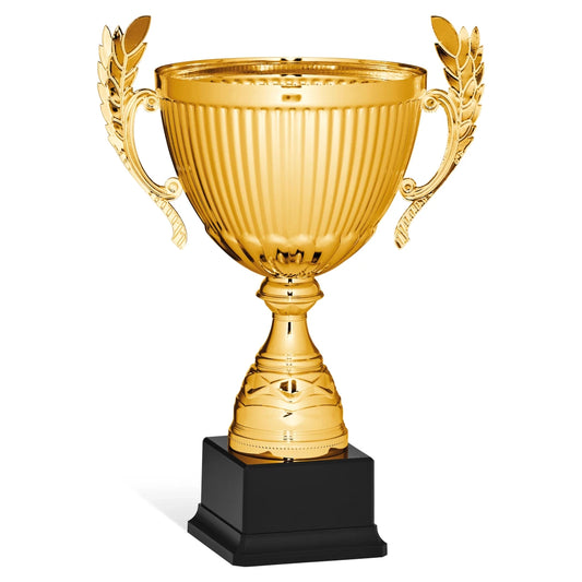 CBRIDGE:96177A:96177A_01