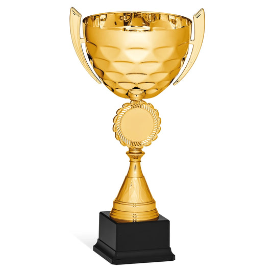 CBRIDGE:96179A:96179A_01