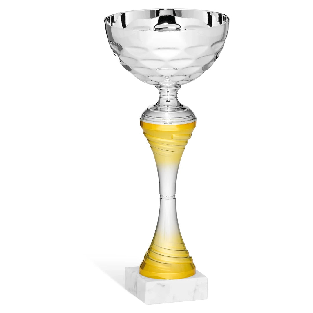 CBRIDGE:96223A:96223A_01