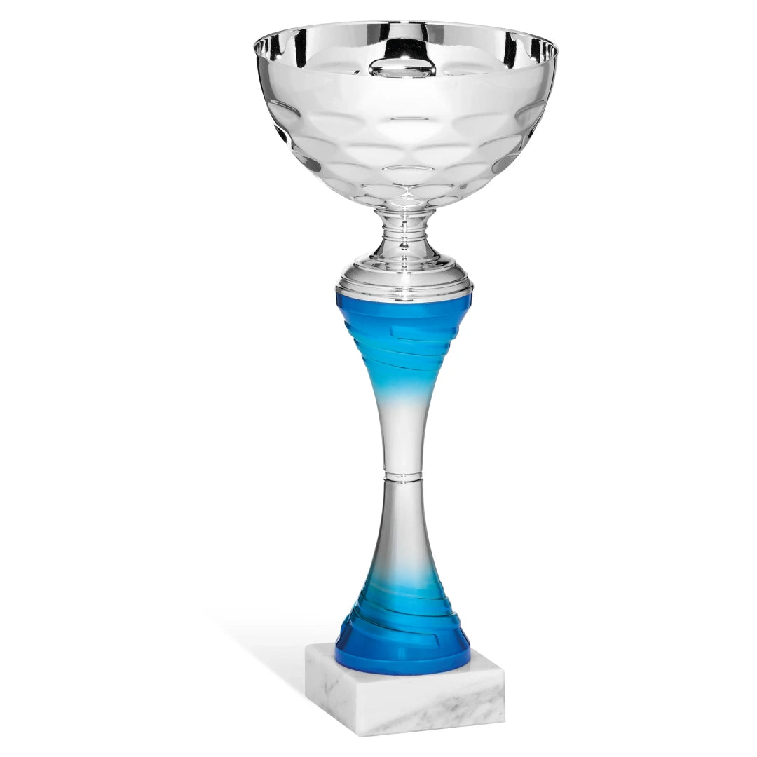 CBRIDGE:96225A:96225A_01