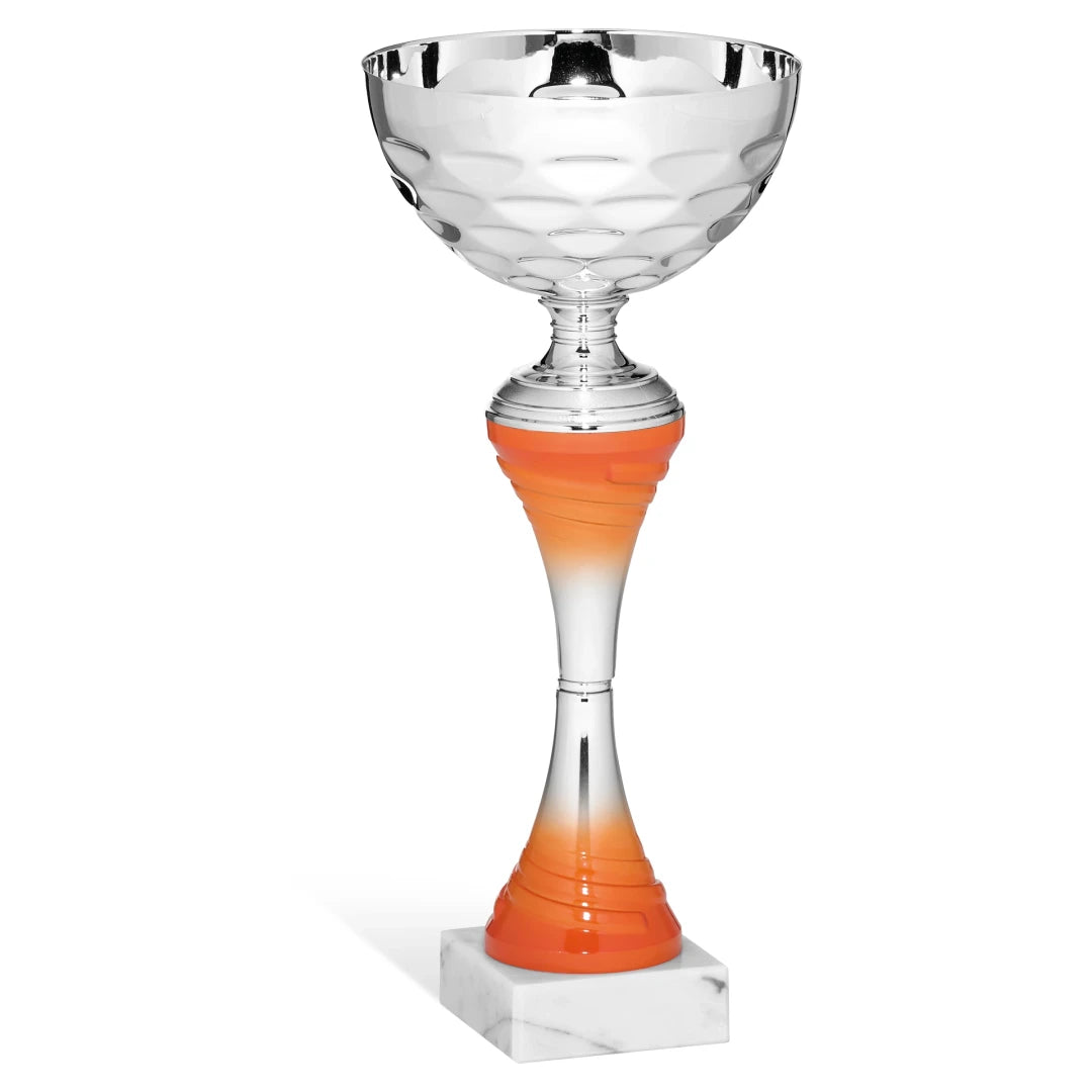 CBRIDGE:96226A:96226A_01