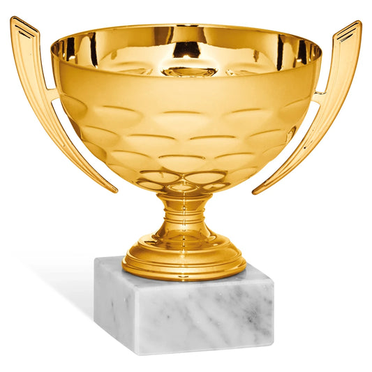 CBRIDGE:96228A:96228A_01