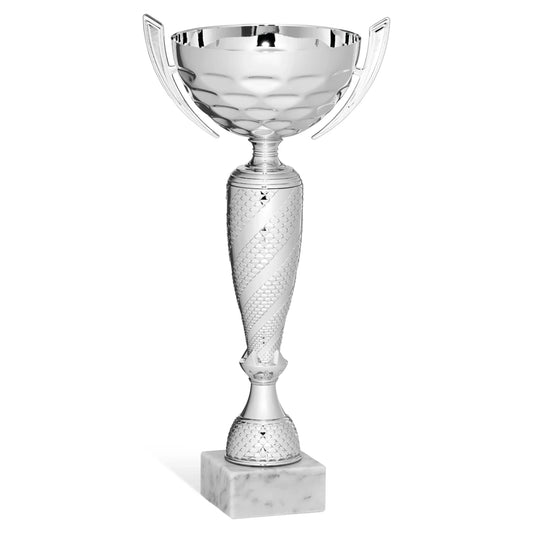 CBRIDGE:96229A:96229A_01