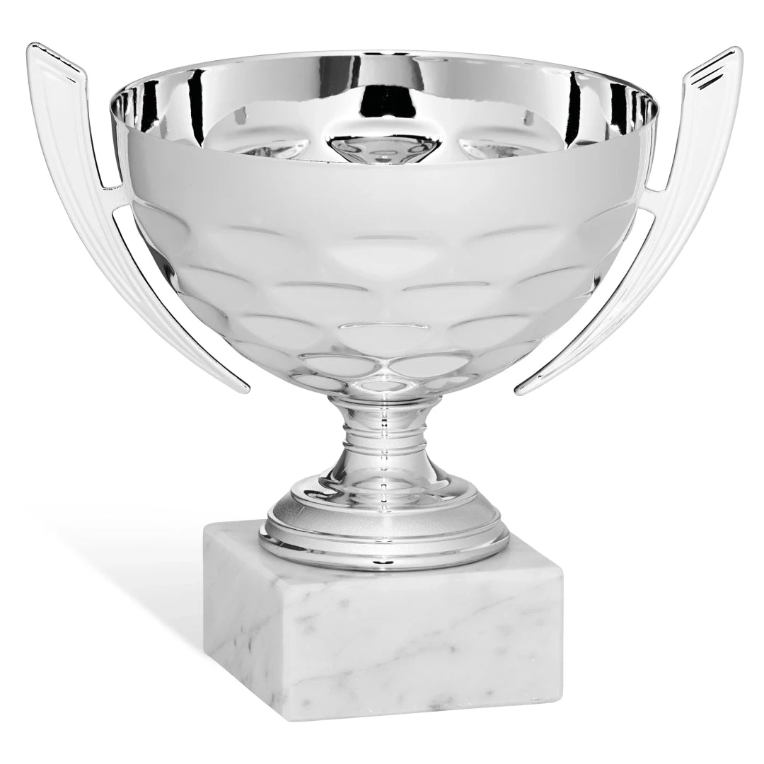 CBRIDGE:96230A:96230A_01