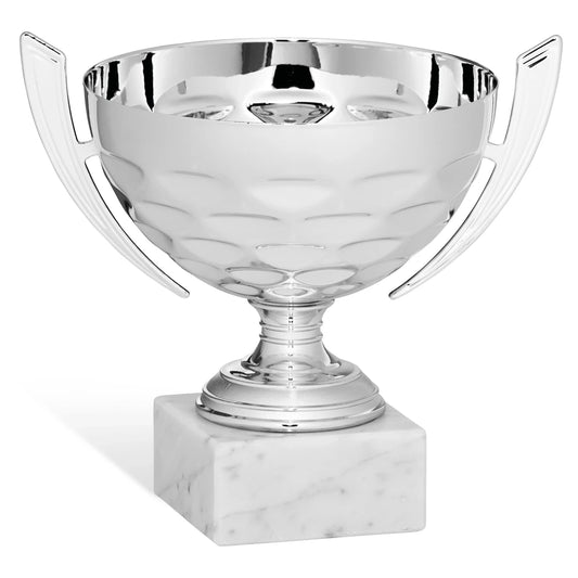 CBRIDGE:96230A:96230A_01