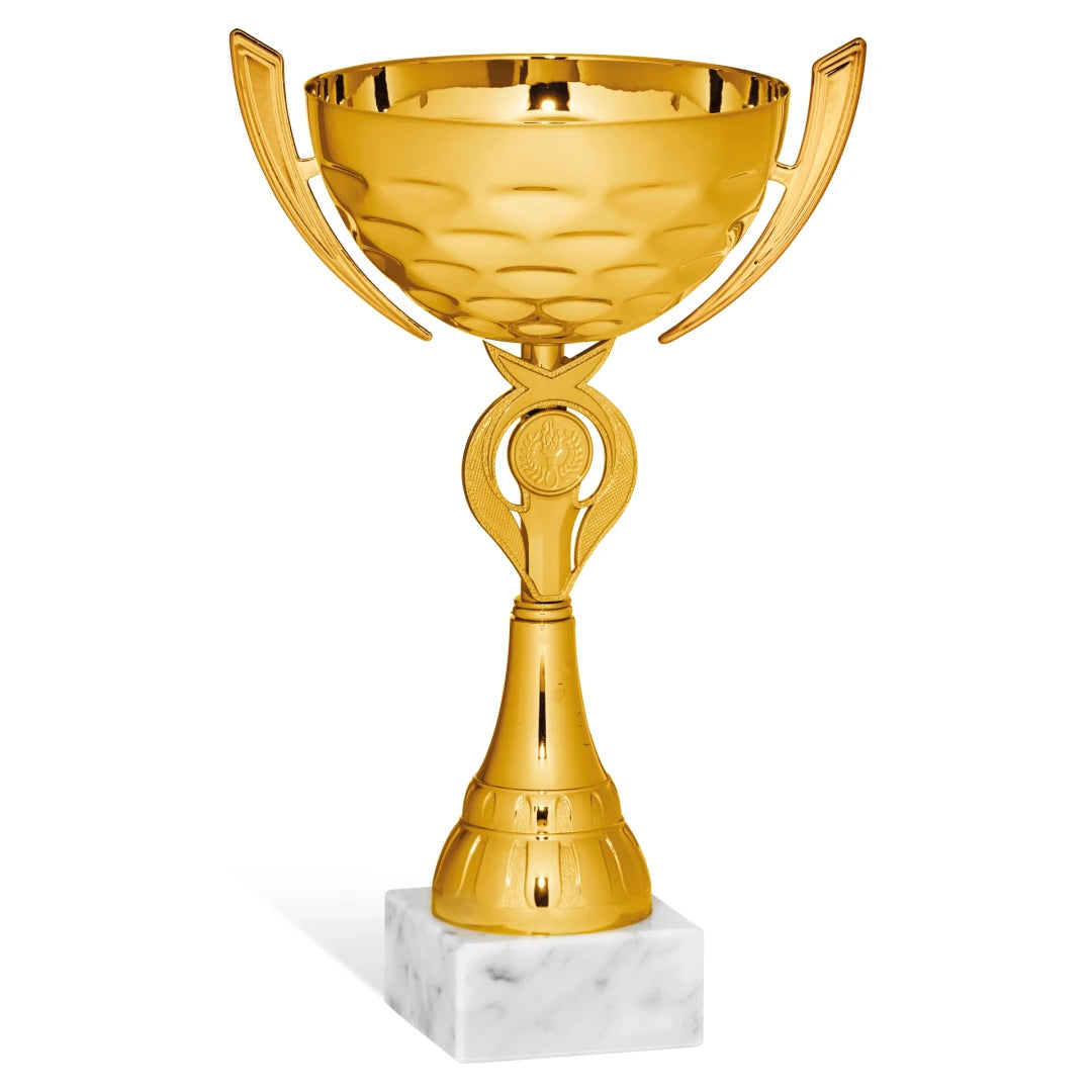 CBRIDGE:96231A:96231A_01