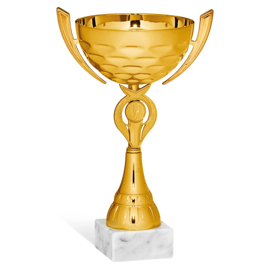 CBRIDGE:96231A:96231A_01