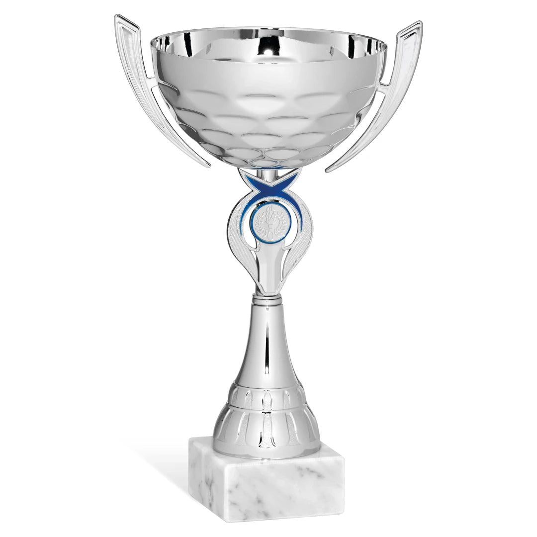 CBRIDGE:96232A:96232A_01