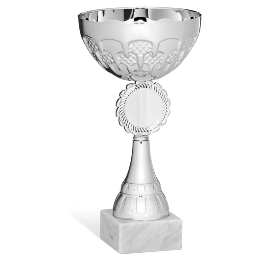 CBRIDGE:96234A:96234A_01