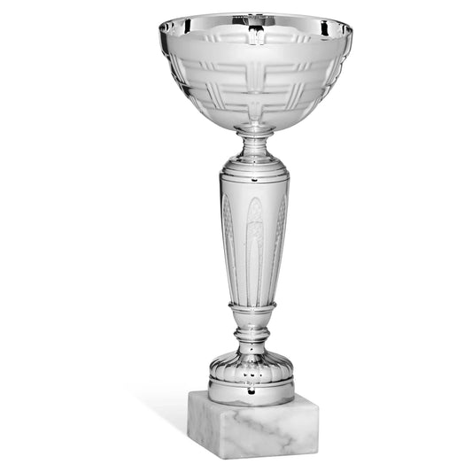 CBRIDGE:96243A:96243A_01