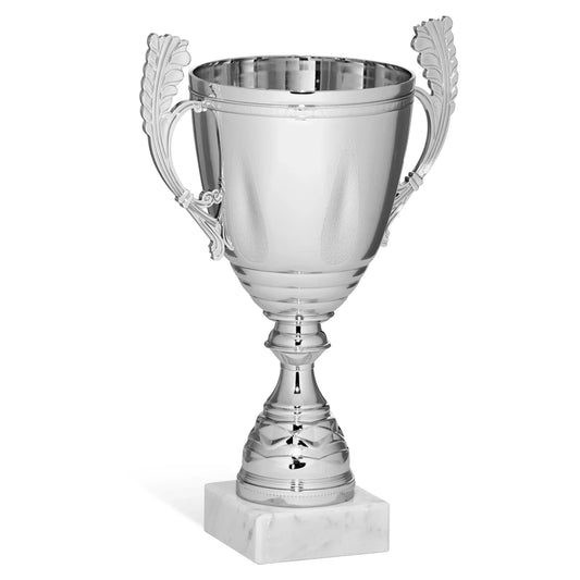 CBRIDGE:96268A:96268A_01