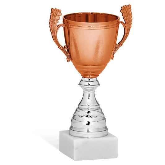 CBRIDGE:96269A:96269A_01