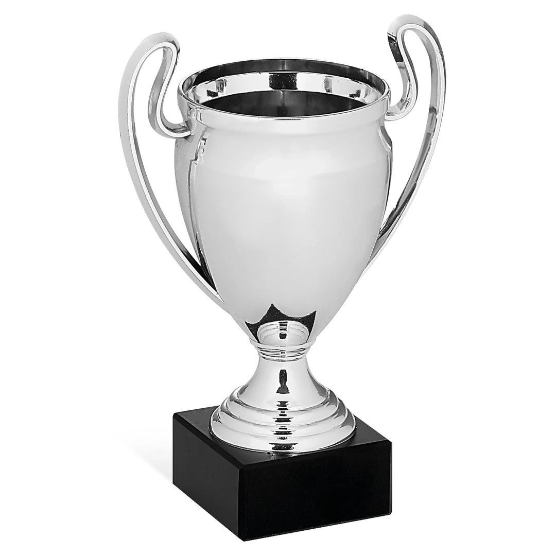 CBRIDGE:96292A:96292A_01