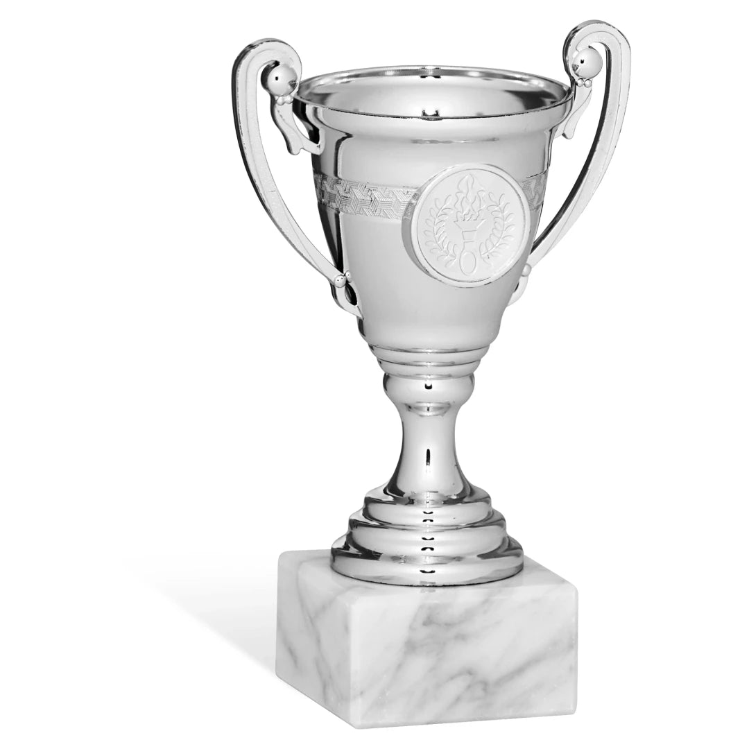 CBRIDGE:96293B:96293B_01